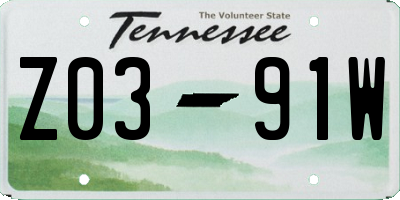 TN license plate Z0391W