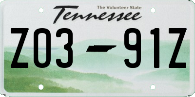TN license plate Z0391Z