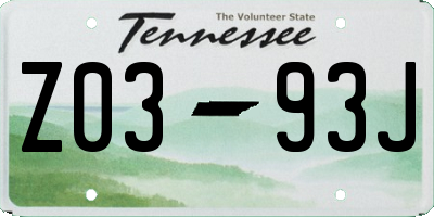 TN license plate Z0393J