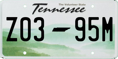 TN license plate Z0395M