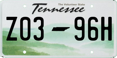 TN license plate Z0396H