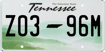 TN license plate Z0396M