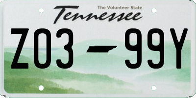 TN license plate Z0399Y