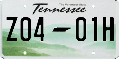 TN license plate Z0401H