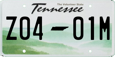 TN license plate Z0401M