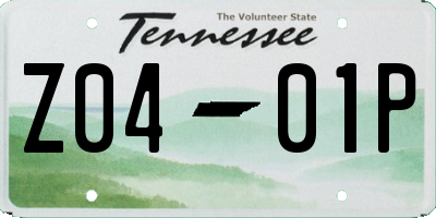 TN license plate Z0401P
