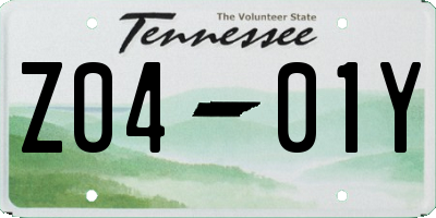 TN license plate Z0401Y