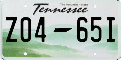 TN license plate Z0465I