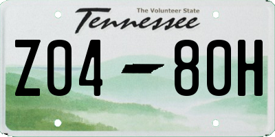 TN license plate Z0480H