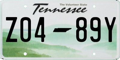 TN license plate Z0489Y