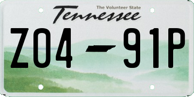 TN license plate Z0491P