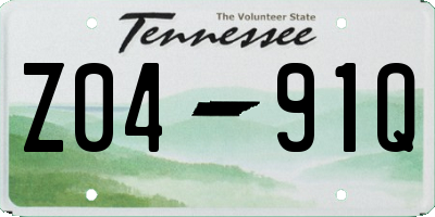 TN license plate Z0491Q