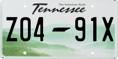 TN license plate Z0491X