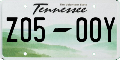 TN license plate Z0500Y
