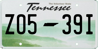 TN license plate Z0539I