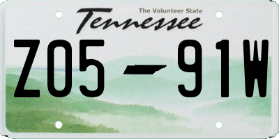 TN license plate Z0591W