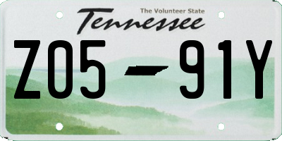 TN license plate Z0591Y