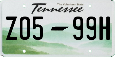 TN license plate Z0599H