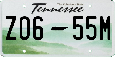 TN license plate Z0655M
