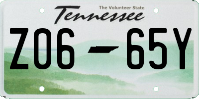TN license plate Z0665Y