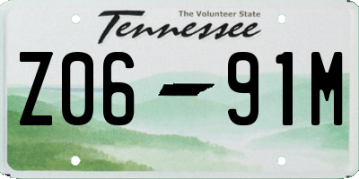 TN license plate Z0691M
