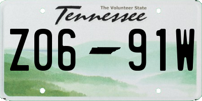 TN license plate Z0691W