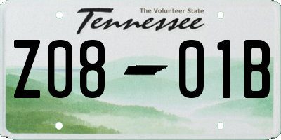 TN license plate Z0801B