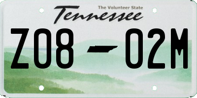 TN license plate Z0802M