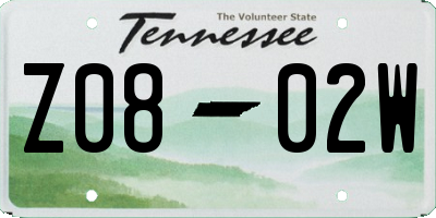 TN license plate Z0802W