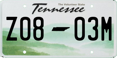 TN license plate Z0803M