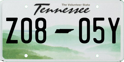 TN license plate Z0805Y