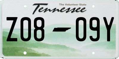 TN license plate Z0809Y