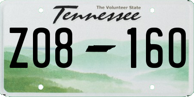 TN license plate Z0816O