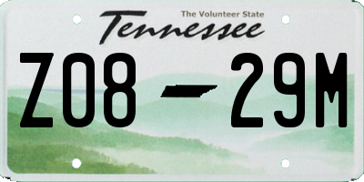 TN license plate Z0829M