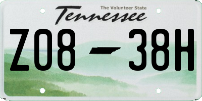 TN license plate Z0838H