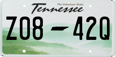 TN license plate Z0842Q
