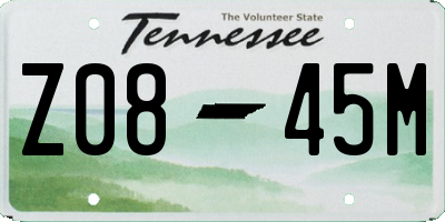 TN license plate Z0845M