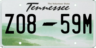 TN license plate Z0859M