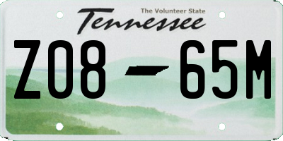TN license plate Z0865M