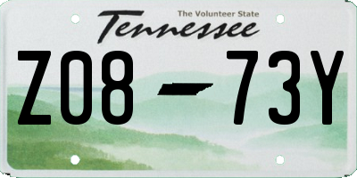 TN license plate Z0873Y