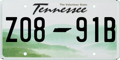 TN license plate Z0891B
