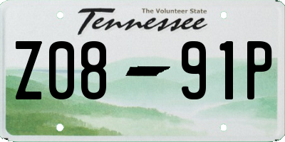 TN license plate Z0891P