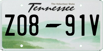 TN license plate Z0891V