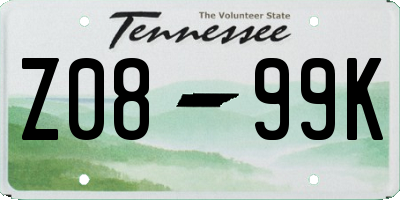 TN license plate Z0899K