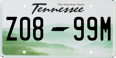 TN license plate Z0899M