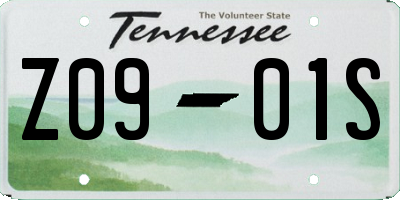TN license plate Z0901S