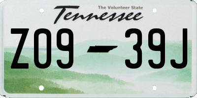 TN license plate Z0939J