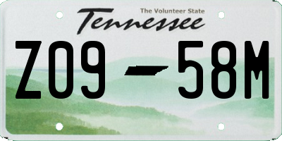 TN license plate Z0958M