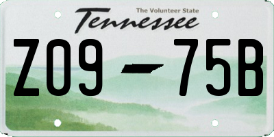 TN license plate Z0975B