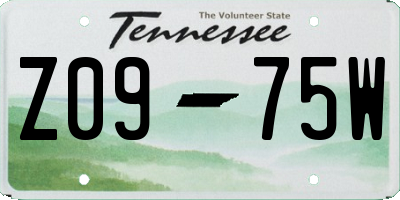 TN license plate Z0975W